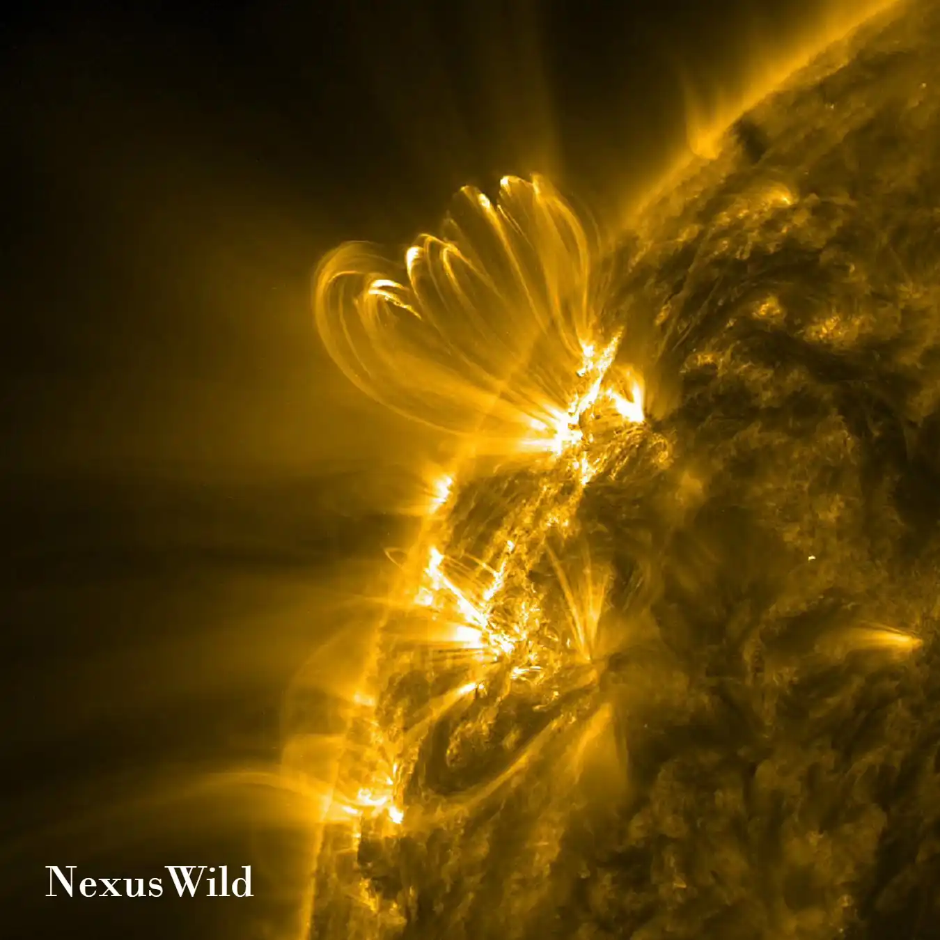 A visualization of a solar flare erupting from the Sun's active magnetic regions.