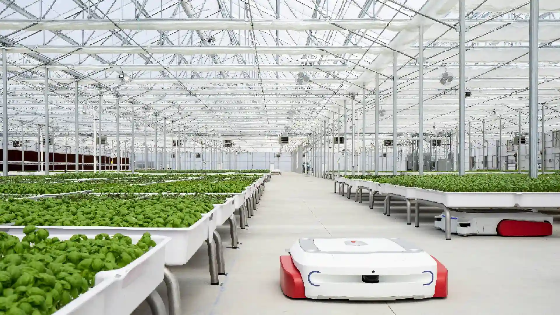 Robotic vertical farm with plant bins moving through a high-density grid under LED grow lights in Arizona