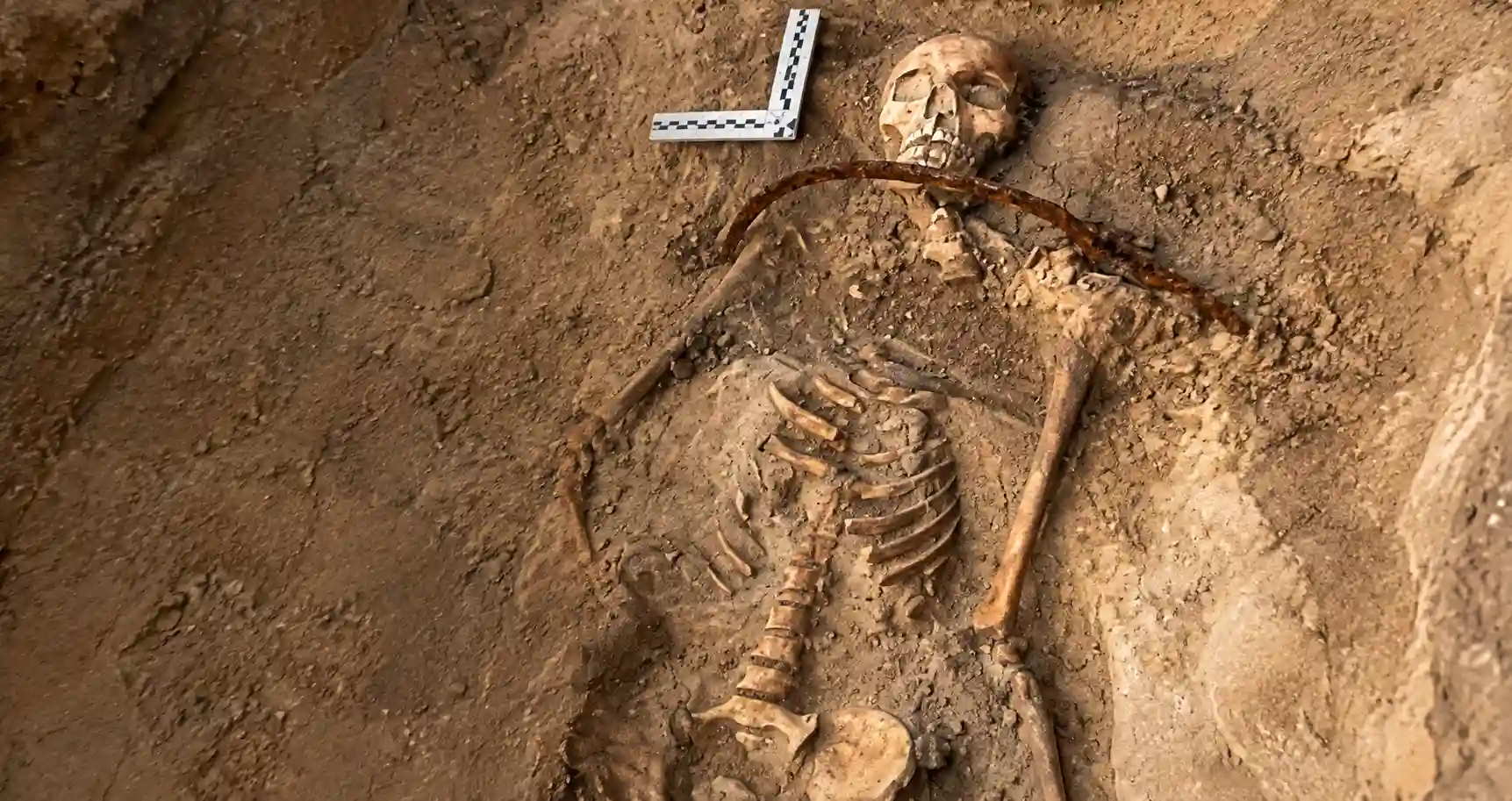 An excavated skeleton of a young woman with a curved iron sickle placed across her throat